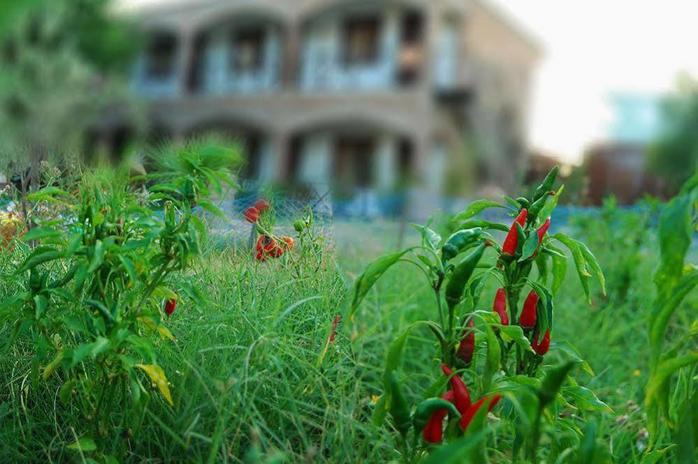 Cunda Deniz Hotel Ayvalı Zewnętrze zdjęcie